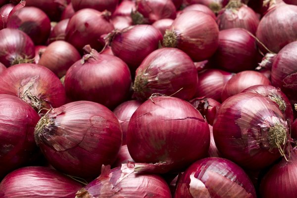 Рабочие ссылки тор bs onion info