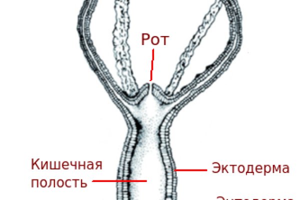 Нова ссылка blacksprut blacksprut adress com