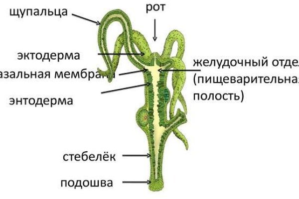 Bs gl сайт 1blacksprut me